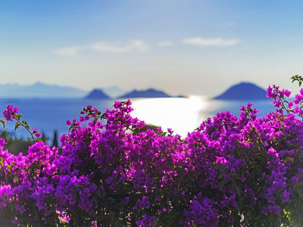Sunset Mavi Βίλα Turgutreis Εξωτερικό φωτογραφία
