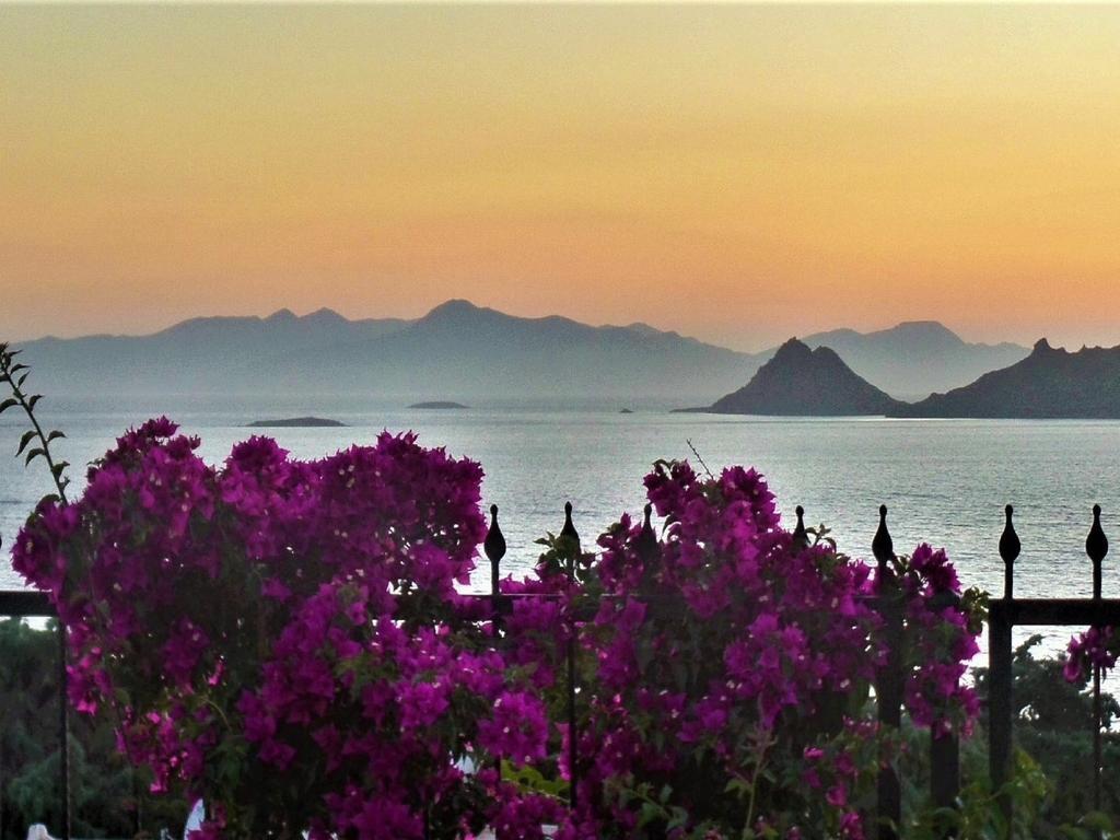 Sunset Mavi Βίλα Turgutreis Εξωτερικό φωτογραφία