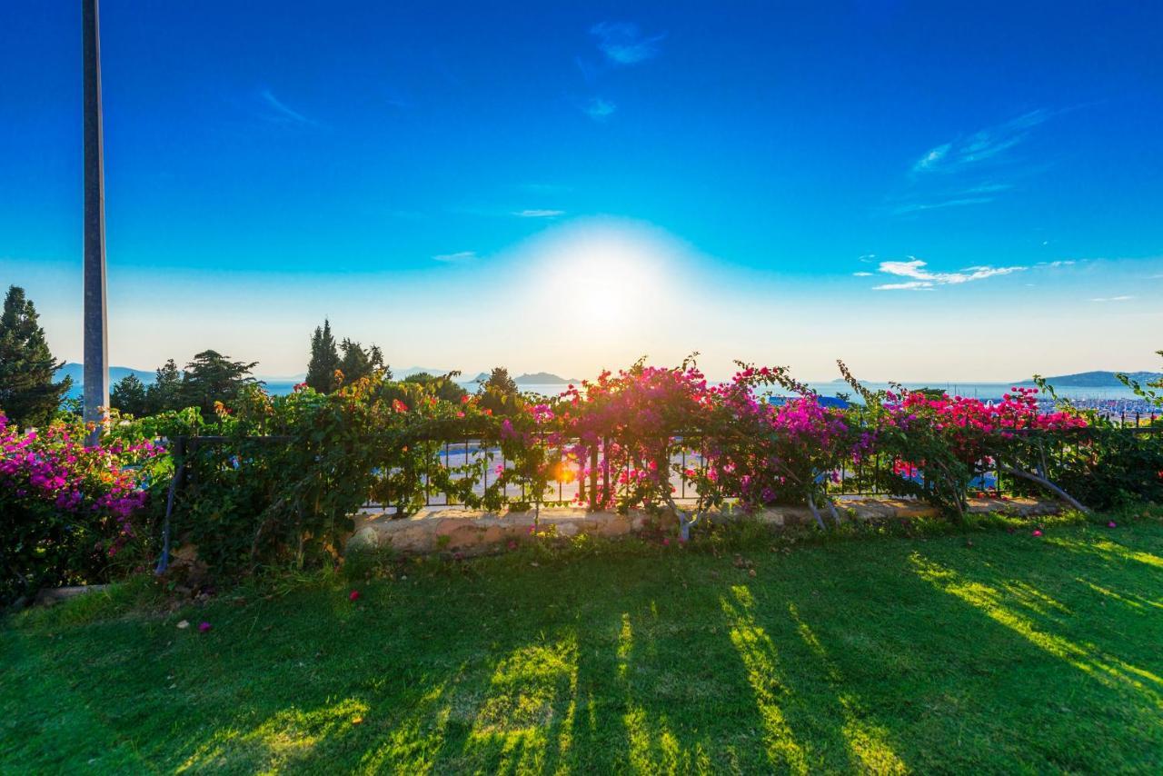 Sunset Mavi Βίλα Turgutreis Εξωτερικό φωτογραφία