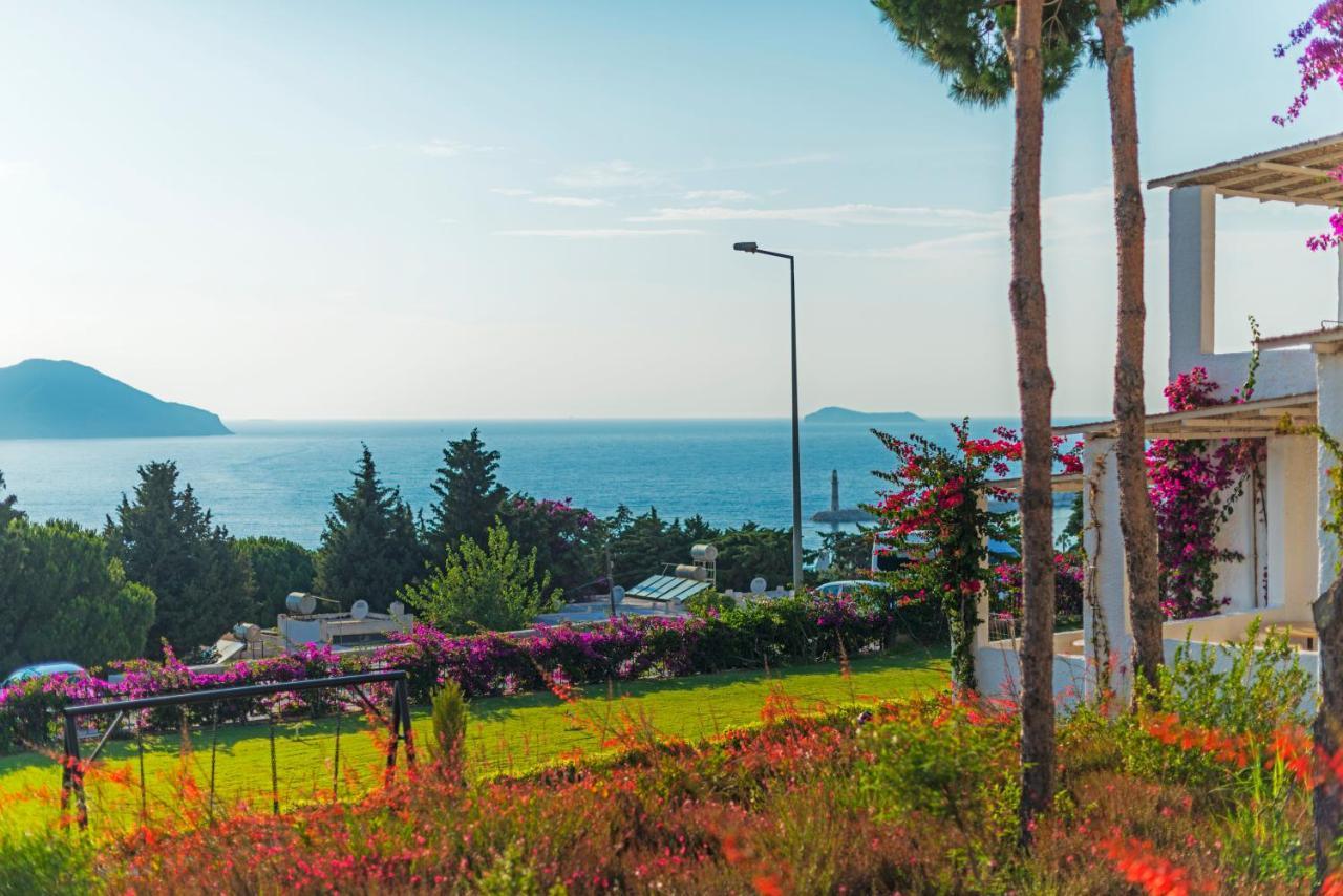 Sunset Mavi Βίλα Turgutreis Εξωτερικό φωτογραφία